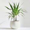 product 05