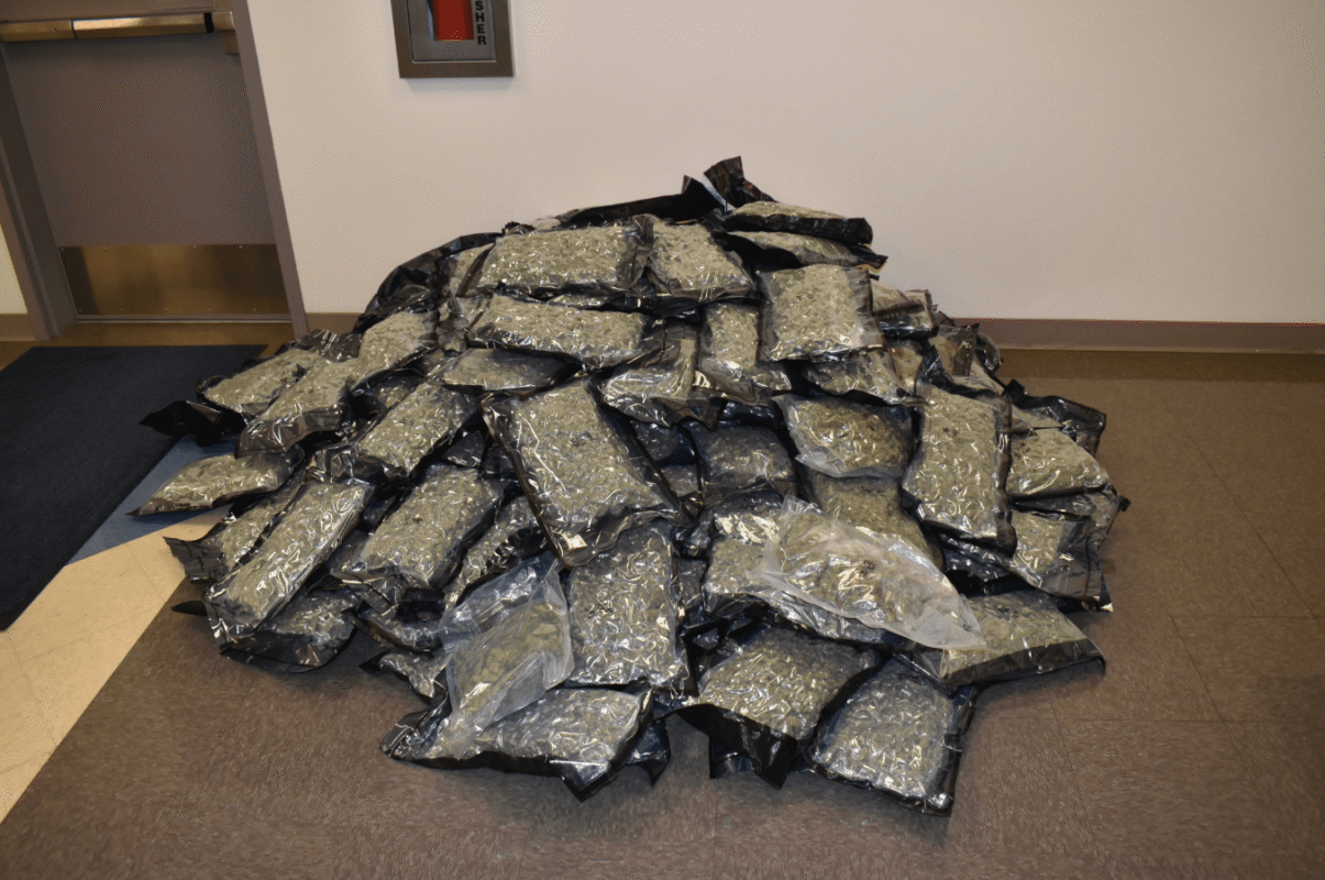 moore marijuana bust 3027726625